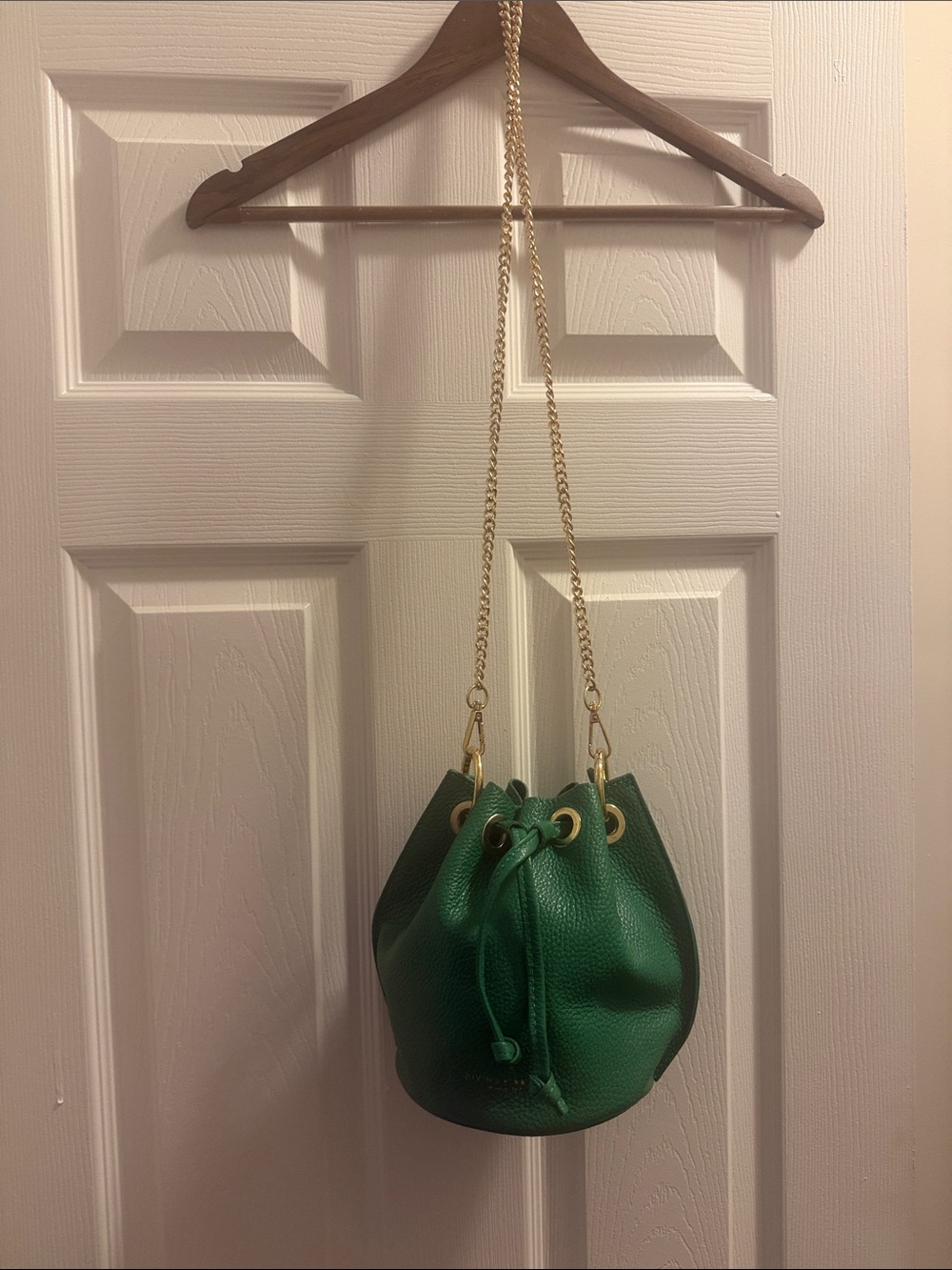 Green Pebbled Italian Leather Mini Bucket Bag with Gold Chain Strap EUC